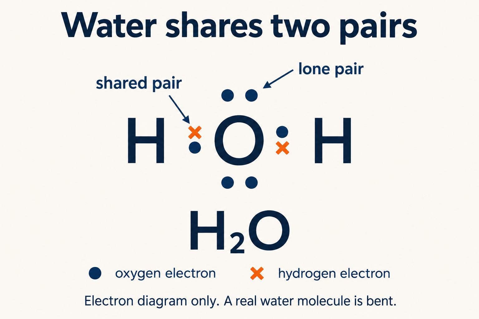 Water has two shared pairs and two lone pairs.